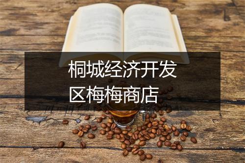 桐城经济开发区梅梅商店