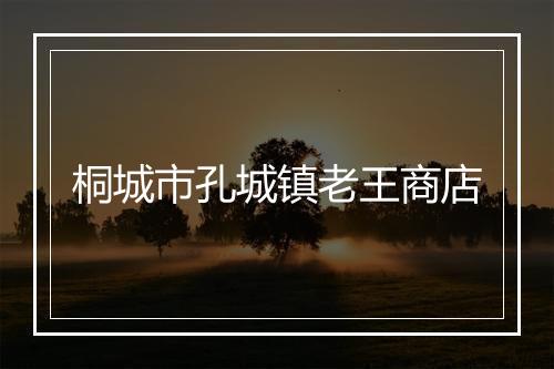 桐城市孔城镇老王商店