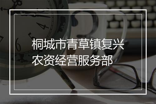 桐城市青草镇复兴农资经营服务部