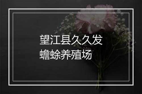 望江县久久发蟾蜍养殖场