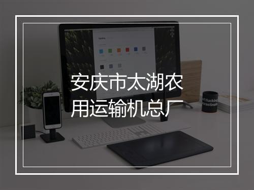 安庆市太湖农用运输机总厂
