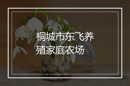 桐城市东飞养殖家庭农场