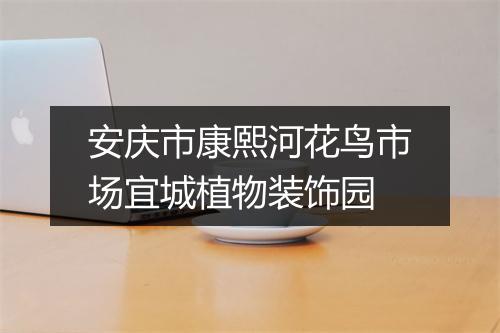 安庆市康熙河花鸟市场宜城植物装饰园