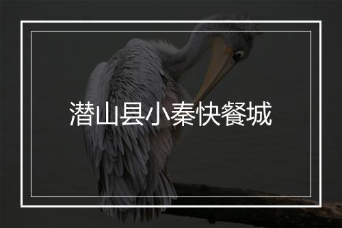 潜山县小秦快餐城