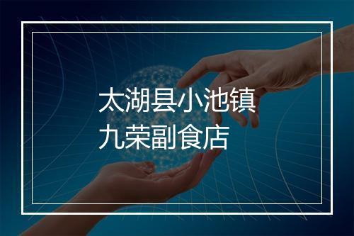 太湖县小池镇九荣副食店