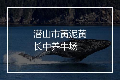 潜山市黄泥黄长中养牛场