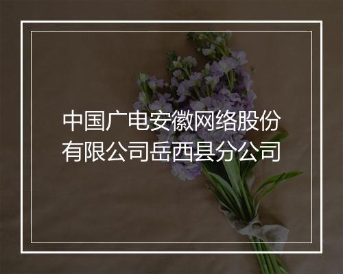 中国广电安徽网络股份有限公司岳西县分公司