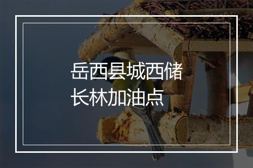 岳西县城西储长林加油点