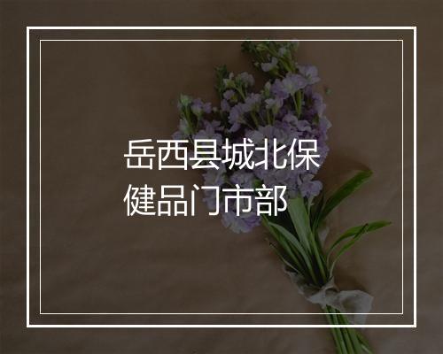岳西县城北保健品门市部