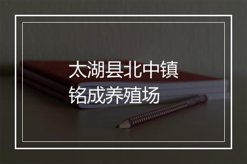 太湖县北中镇铭成养殖场