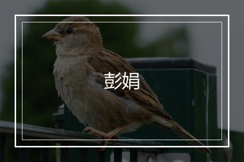 彭娟