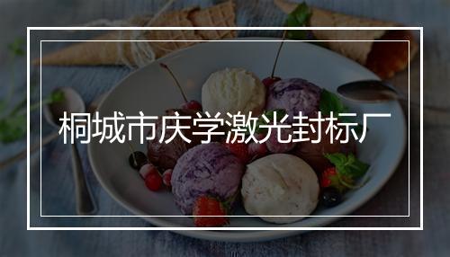 桐城市庆学激光封标厂