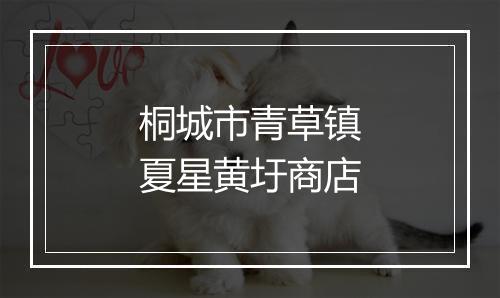 桐城市青草镇夏星黄圩商店
