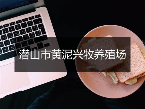 潜山市黄泥兴牧养殖场
