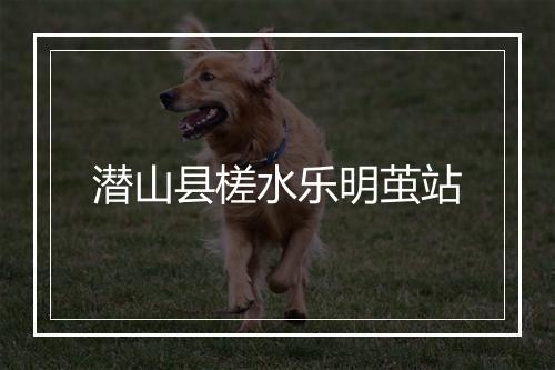 潜山县槎水乐明茧站