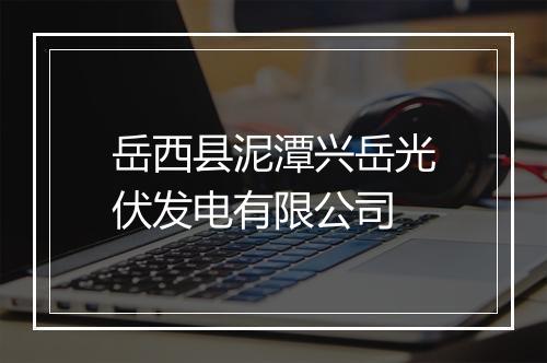 岳西县泥潭兴岳光伏发电有限公司