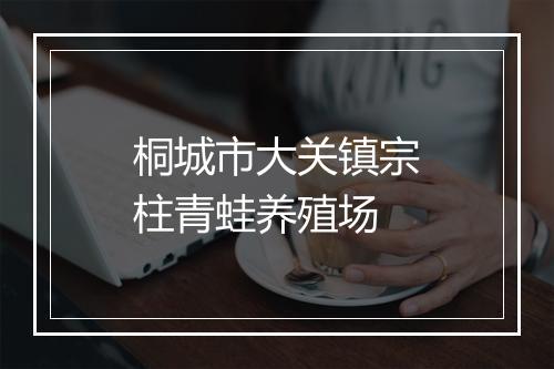 桐城市大关镇宗柱青蛙养殖场