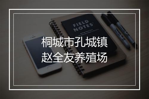 桐城市孔城镇赵全友养殖场
