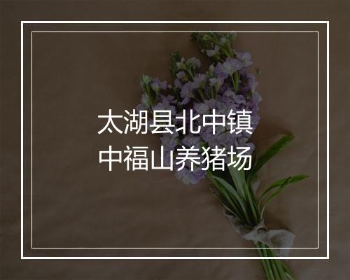太湖县北中镇中福山养猪场