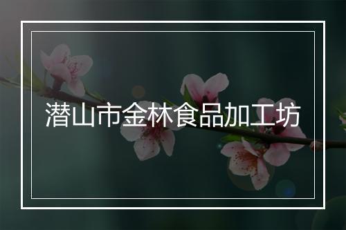 潜山市金林食品加工坊
