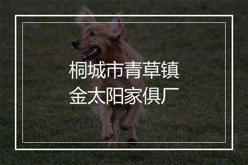 桐城市青草镇金太阳家俱厂