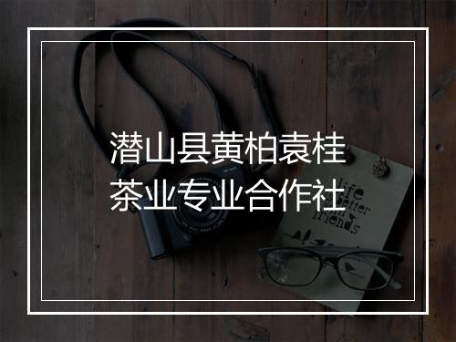 潜山县黄柏袁桂茶业专业合作社