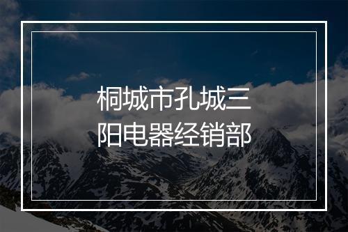 桐城市孔城三阳电器经销部