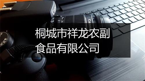 桐城市祥龙农副食品有限公司