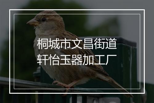 桐城市文昌街道轩怡玉器加工厂