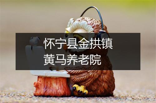 怀宁县金拱镇黄马养老院