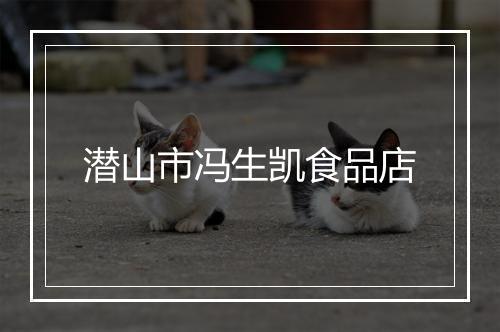 潜山市冯生凯食品店