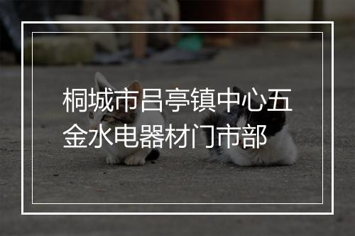 桐城市吕亭镇中心五金水电器材门市部