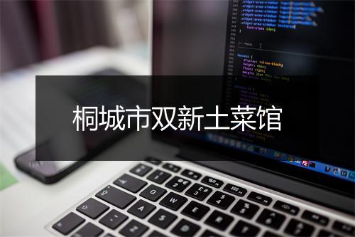 桐城市双新土菜馆