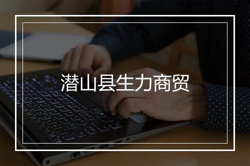 潜山县生力商贸