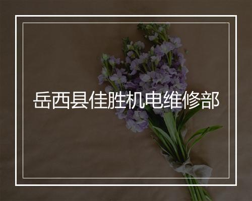 岳西县佳胜机电维修部
