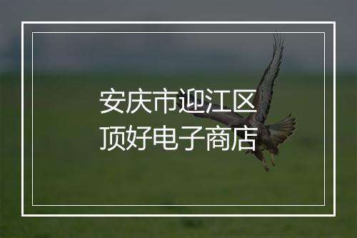 安庆市迎江区顶好电子商店