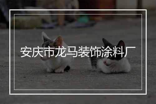 安庆市龙马装饰涂料厂
