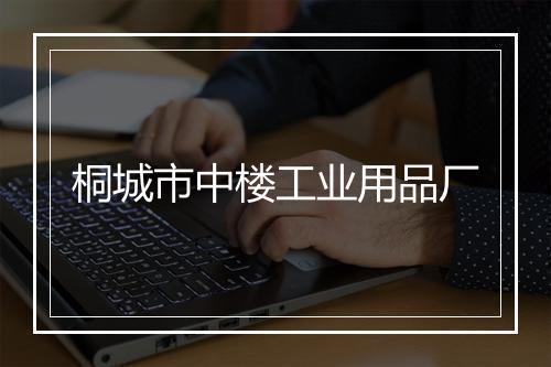桐城市中楼工业用品厂