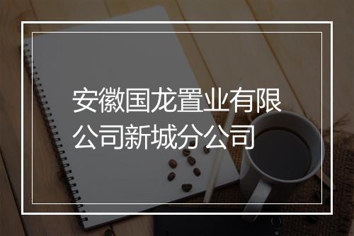 安徽国龙置业有限公司新城分公司