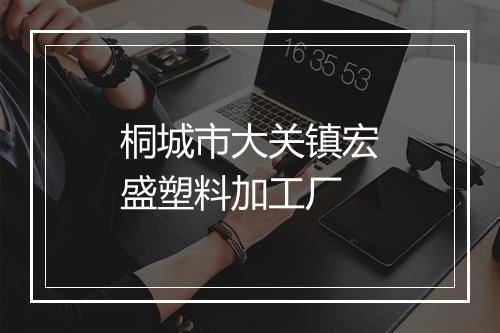 桐城市大关镇宏盛塑料加工厂
