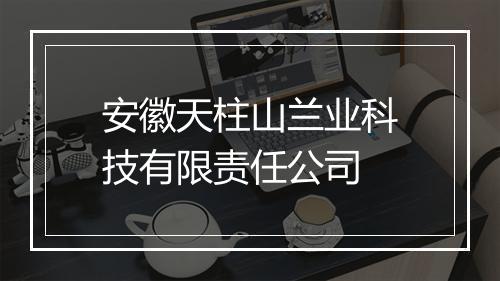 安徽天柱山兰业科技有限责任公司