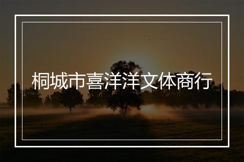桐城市喜洋洋文体商行