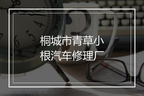 桐城市青草小根汽车修理厂
