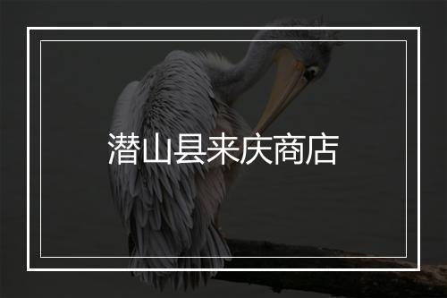 潜山县来庆商店
