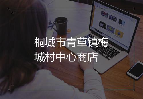 桐城市青草镇梅城村中心商店