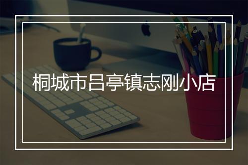 桐城市吕亭镇志刚小店
