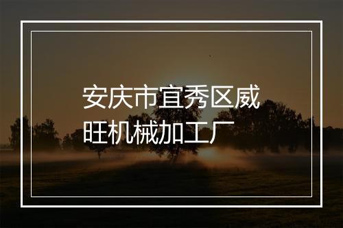 安庆市宜秀区威旺机械加工厂