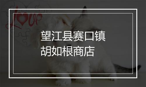 望江县赛口镇胡如根商店