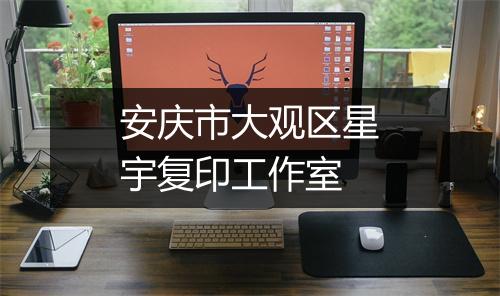 安庆市大观区星宇复印工作室
