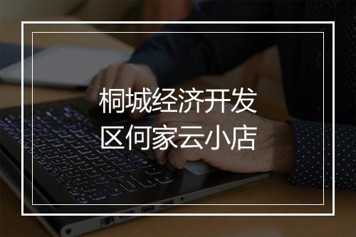 桐城经济开发区何家云小店
